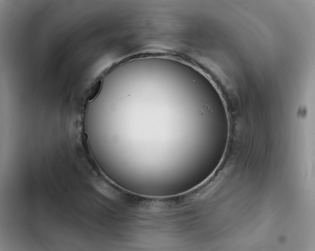X0000103231355200808281421