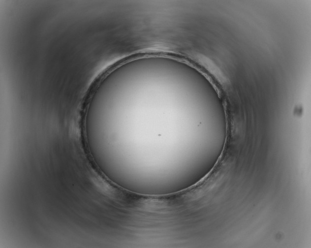 X0000103231356200808281421