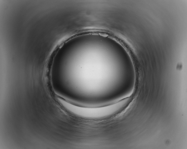 X0000103231357200808281421