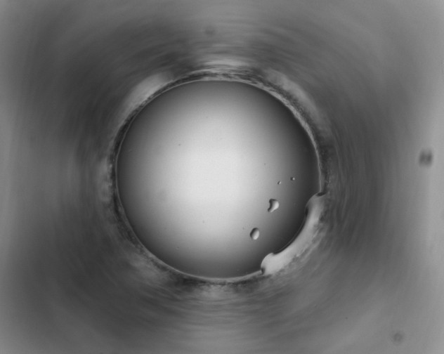 X0000103231362200808281421