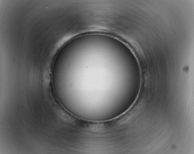 X0000103231363200808281421
