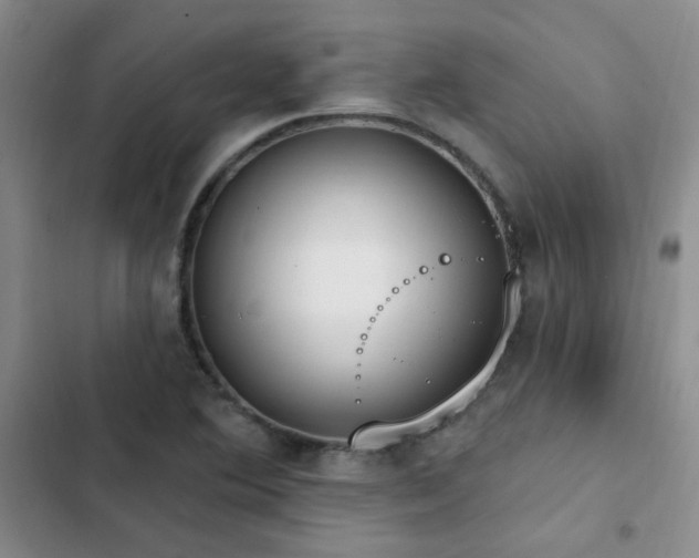 X0000103231364200808281421