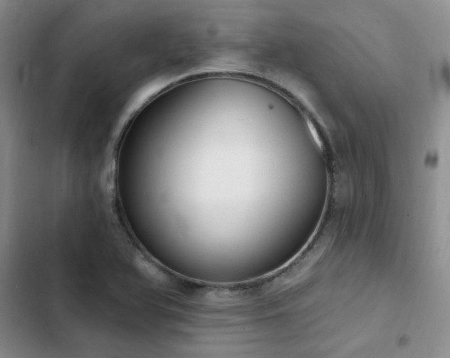X0000103231366200808281421