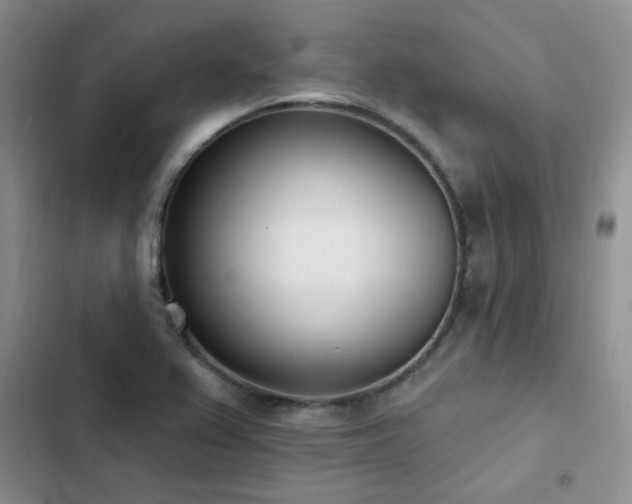X0000103231367200808281421