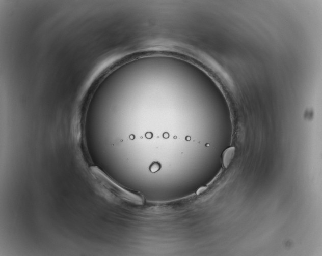 X0000103231368200808281421