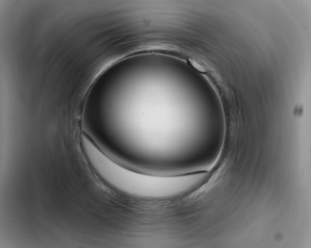 X0000103231369200808281421