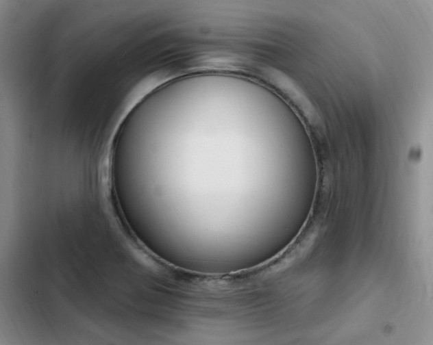 X0000103231370200808281421