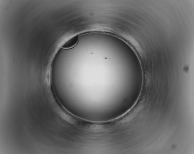X0000103231371200808281421