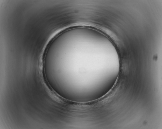 X0000103231372200808281421