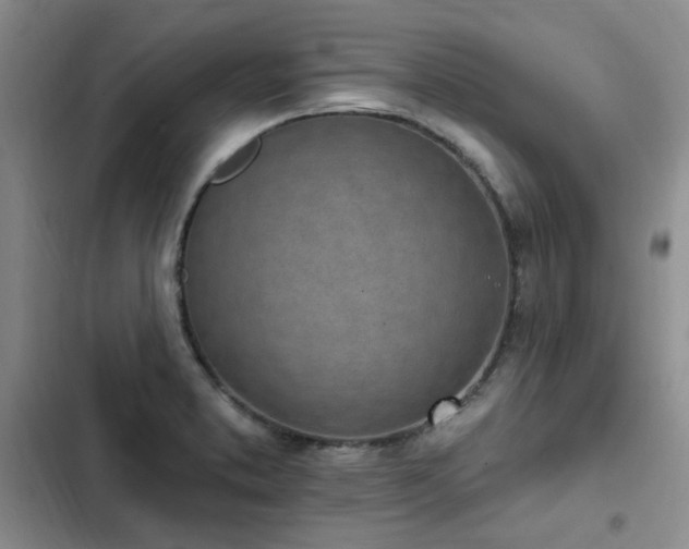 X0000103231373200808281421