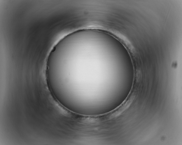 X0000103231374200808281421