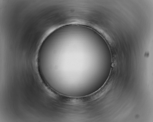 X0000103231375200808281421