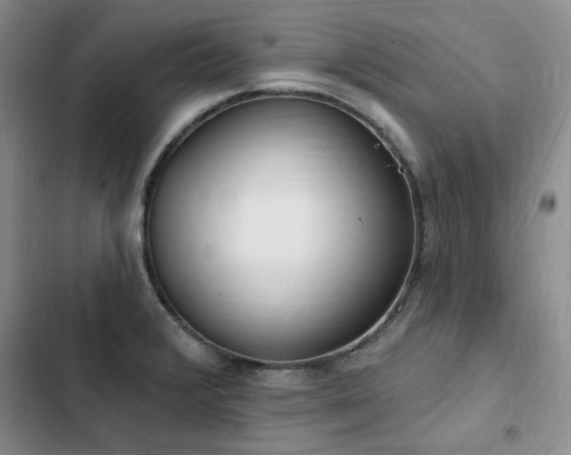 X0000103231376200808281421