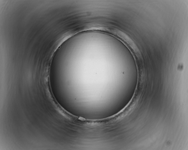 X0000103231377200808281421