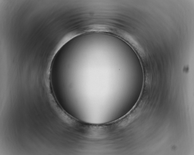 X0000103231378200808281421