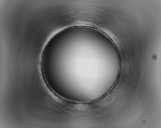 X0000103231379200808281421