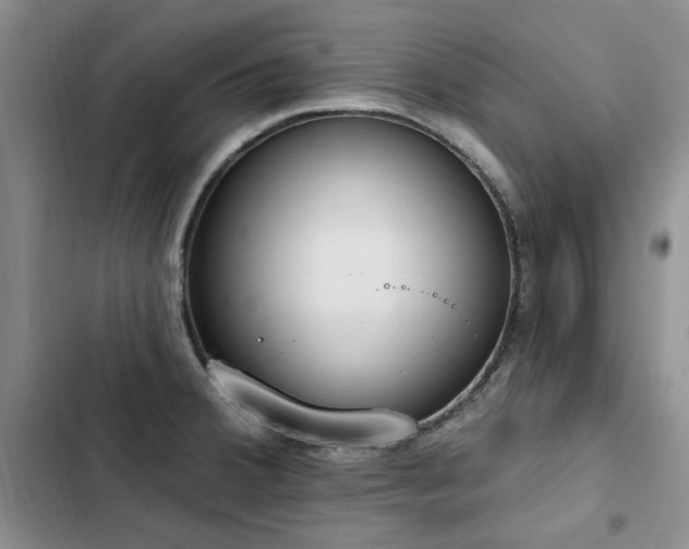 X0000103231380200808281421