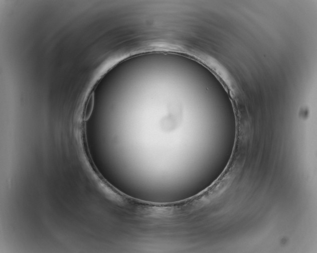 X0000103231381200808281421