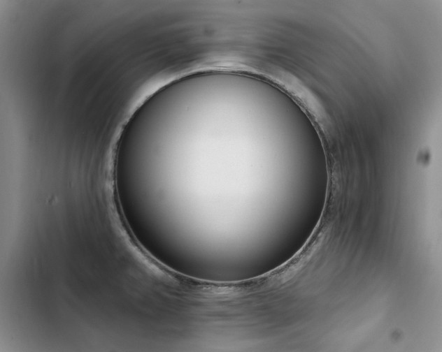 X0000103231382200808281421