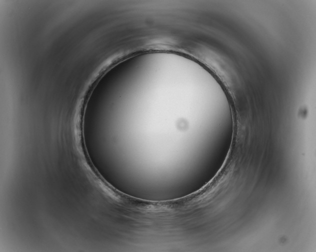 X0000103231384200808281421