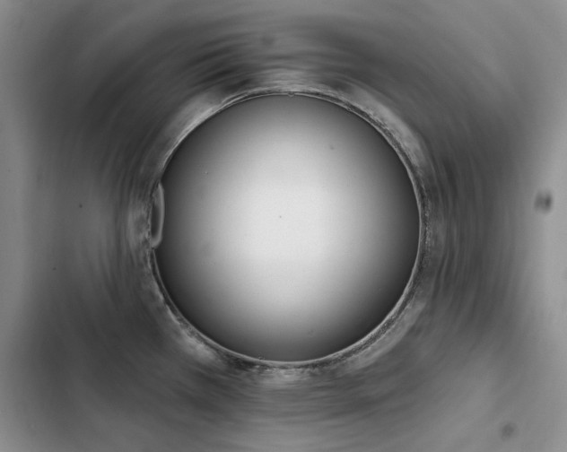 X0000103231385200808281421