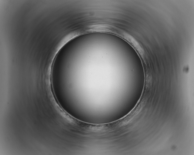 X0000103231386200808281421