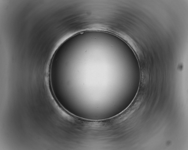 X0000103231387200808281421