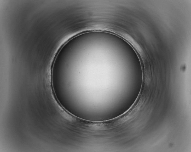 X0000103231388200808281421