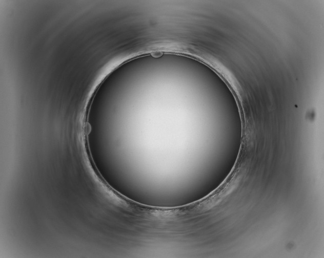 X0000103231389200808281421