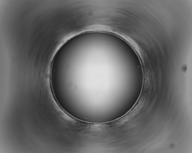 X0000103231390200808281421