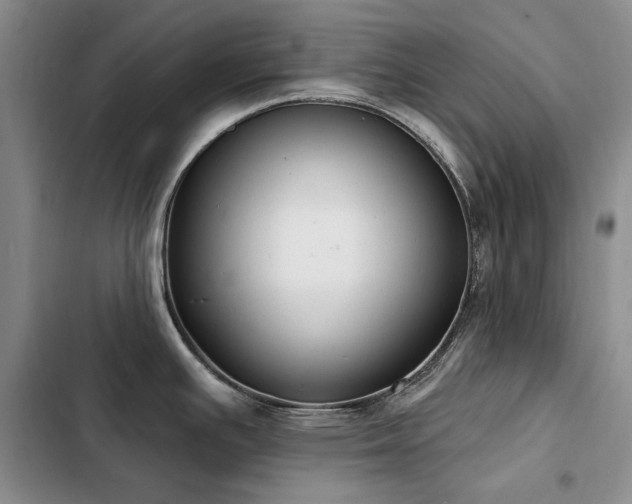 X0000103231391200808281421