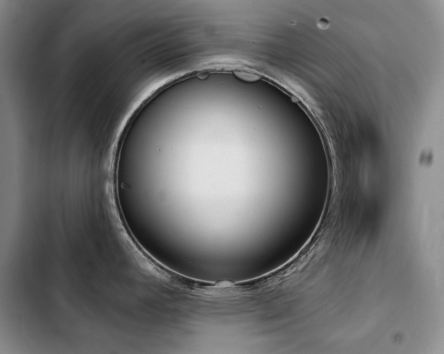 X0000103231392200808281421