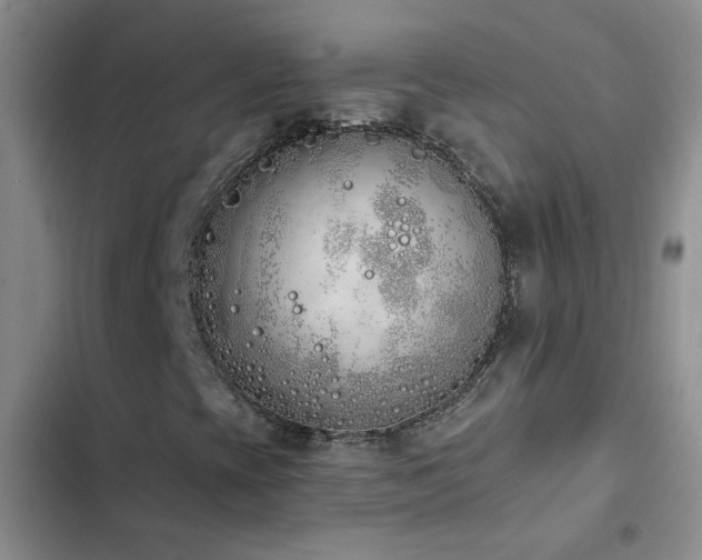 X0000103231393200808281420