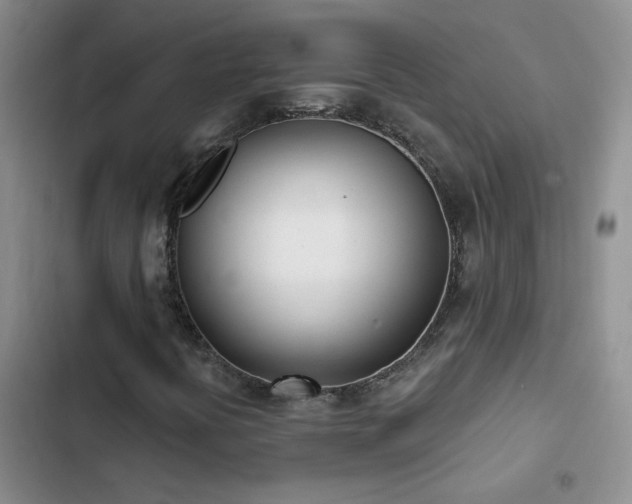 X0000103231394200808281420
