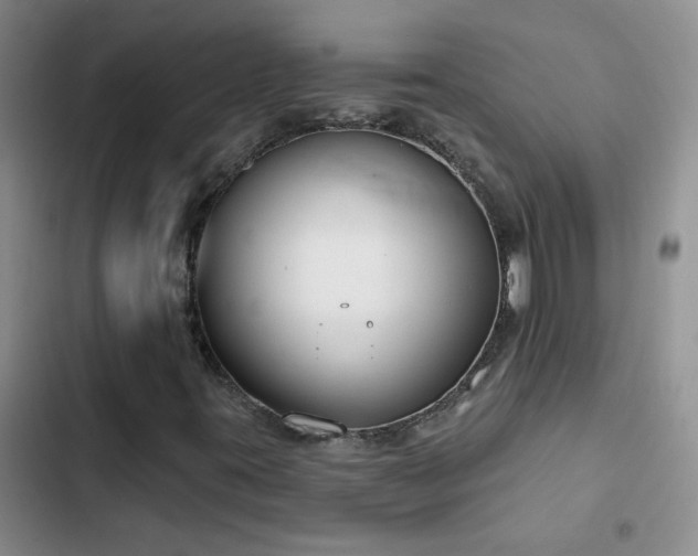 X0000103231395200808281420