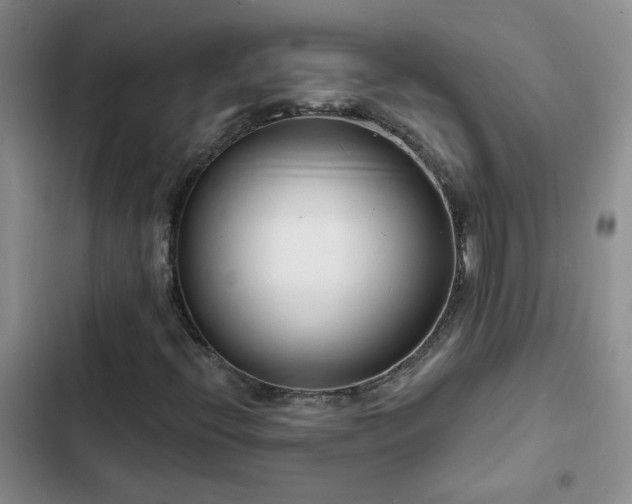 X0000103231396200808281420