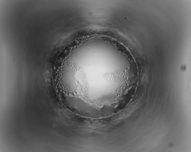 X0000103231397200808281420