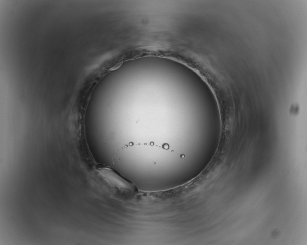 X0000103231398200808281420