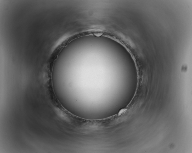 X0000103231400200808281420