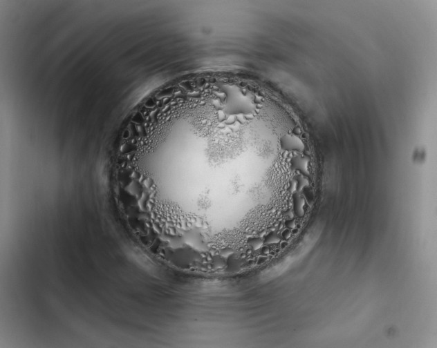 X0000103231401200808281420