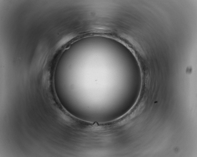 X0000103231402200808281420