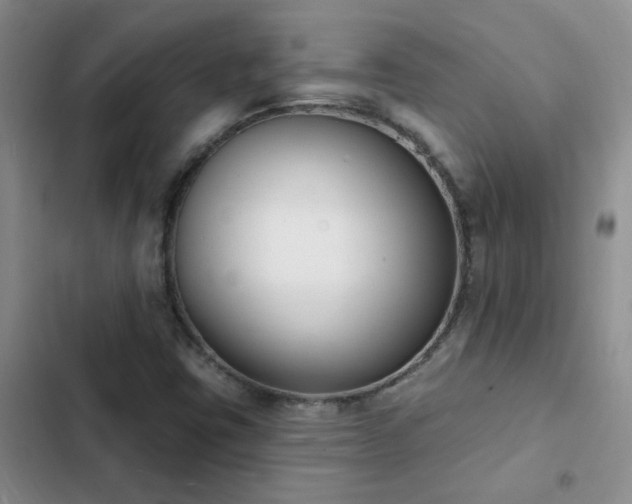 X0000103231403200808281420