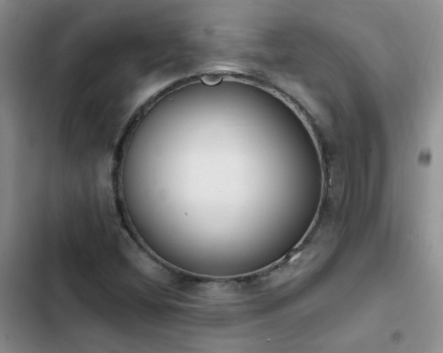 X0000103231404200808281420