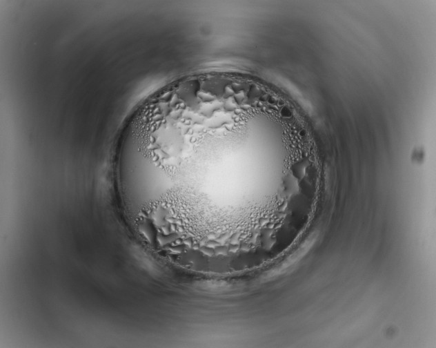 X0000103231405200808281420