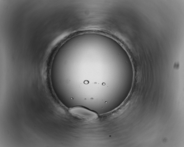 X0000103231406200808281420