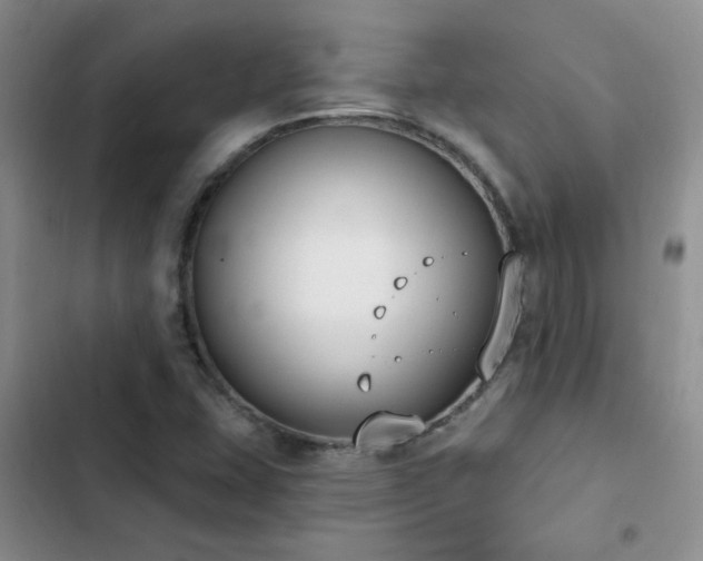 X0000103231407200808281420