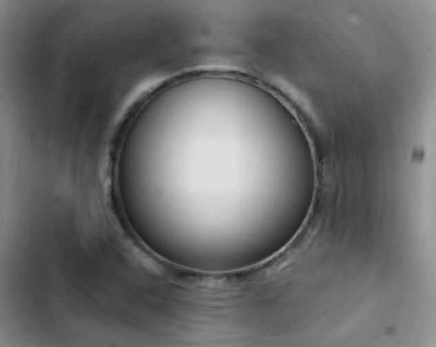 X0000103231408200808281420