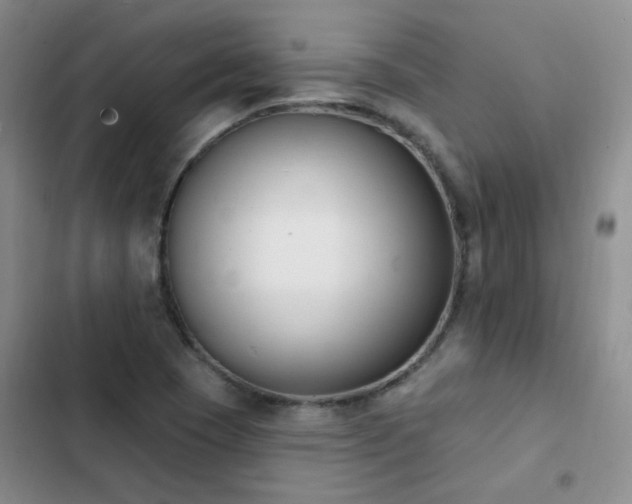 X0000103231409200808281420