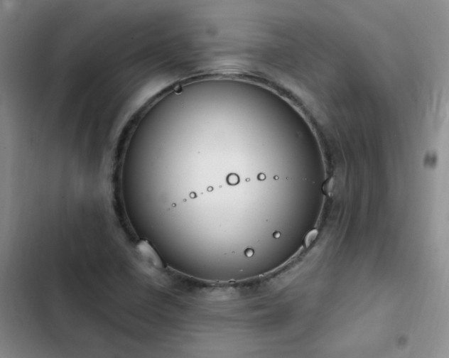X0000103231410200808281420