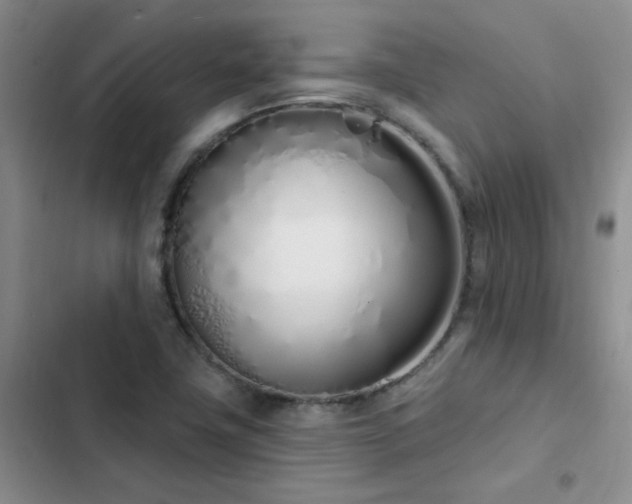 X0000103231411200808281420